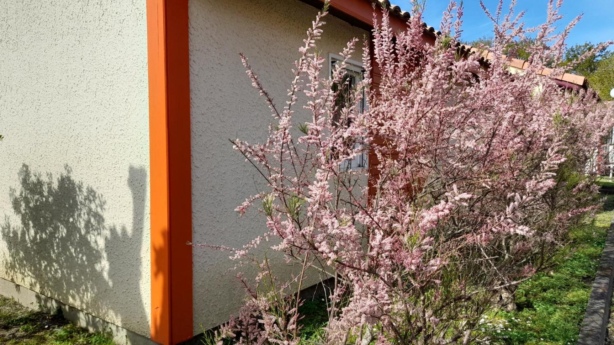 Residence Mes Amours D'Enfants - Les Villas Du Lac Сустон Экстерьер фото